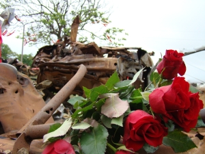 Красные розы – символ Победы. Автор: Залина Цховребова