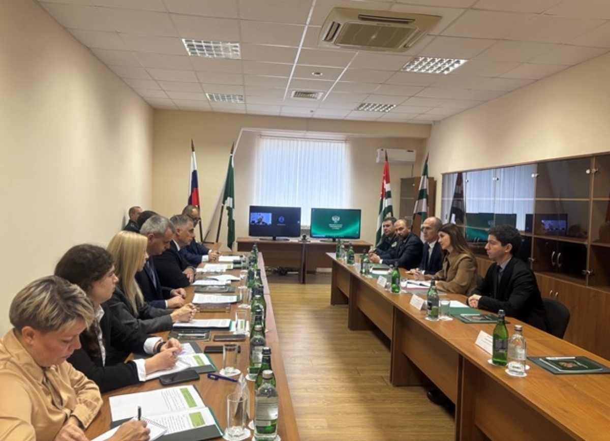 Таможенные службы России и Абхазии обсудили вопросы сотрудничества