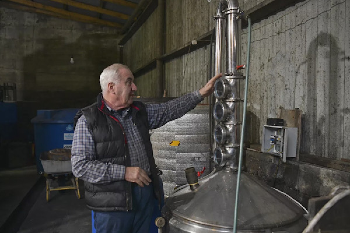 Драгоценных вин черед