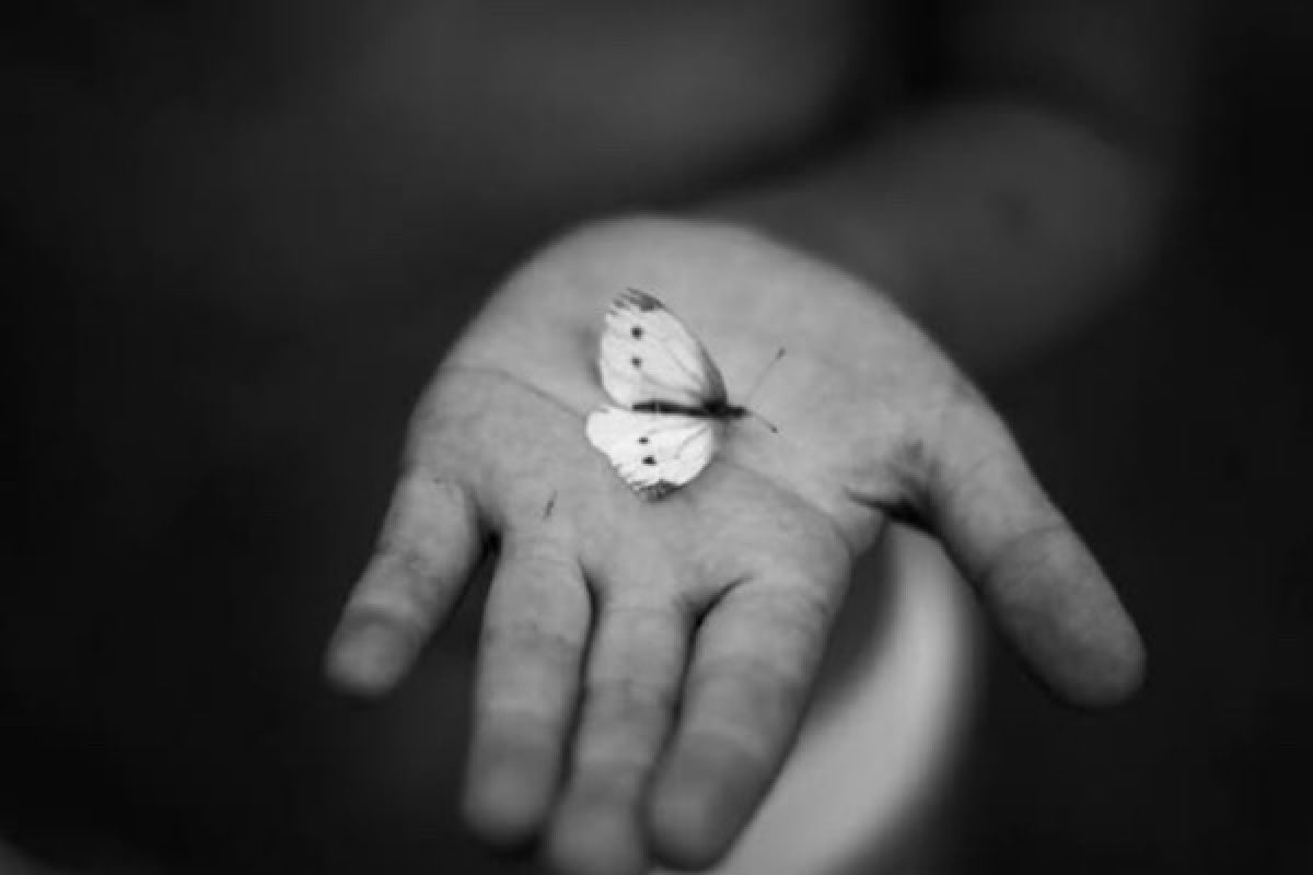 Жизнь хрупкая... Как оказалось.