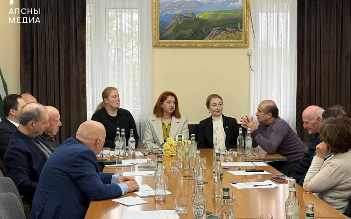 В Общественной палате прошла встреча с Эльчин Адзинба&nbsp;
