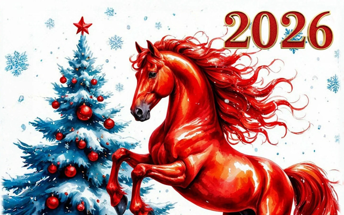 Мой новогодний праздник