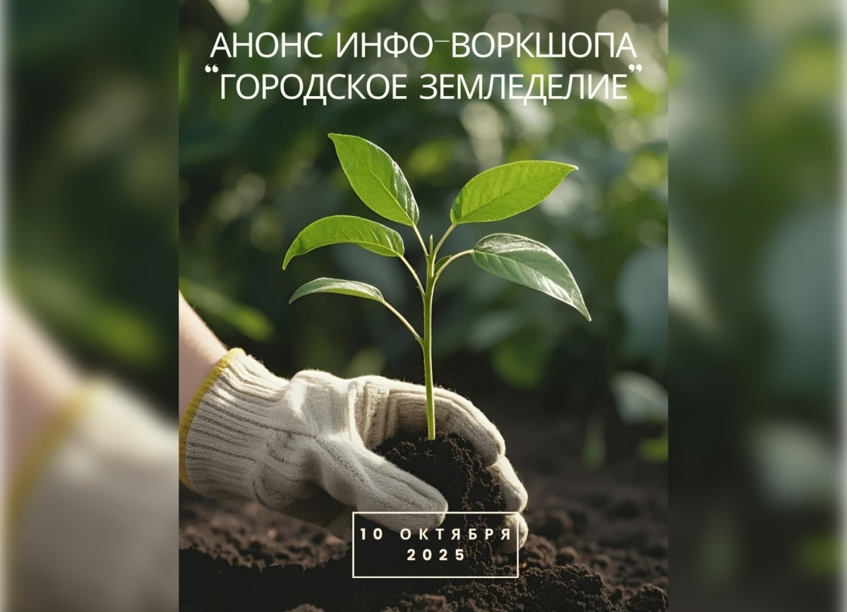 Проектный офис ФАО проведет в Сухуме воркшоп &quot;Городское замледелие&quot;