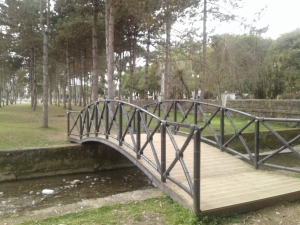 Мост через Сухумку