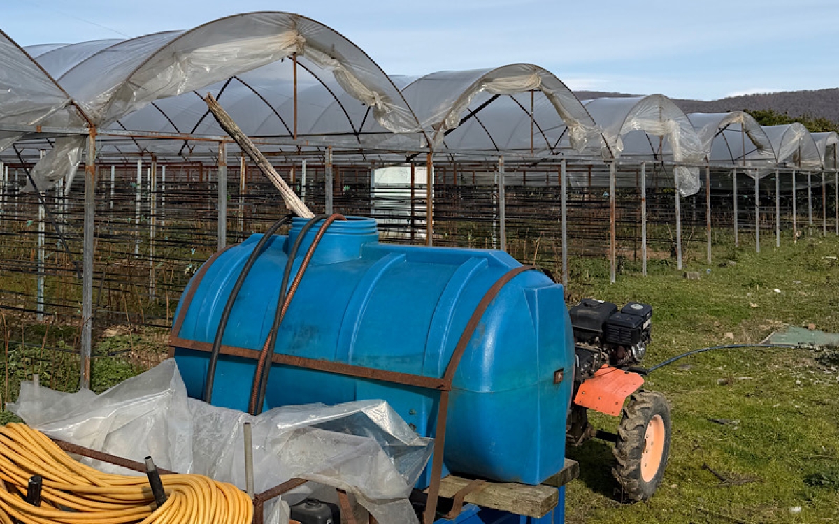 &laquo;Ягодное поле&raquo;